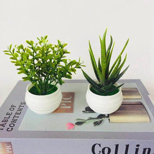 Mini Artificial Aloe Bonsai Plant for Home Decoration 